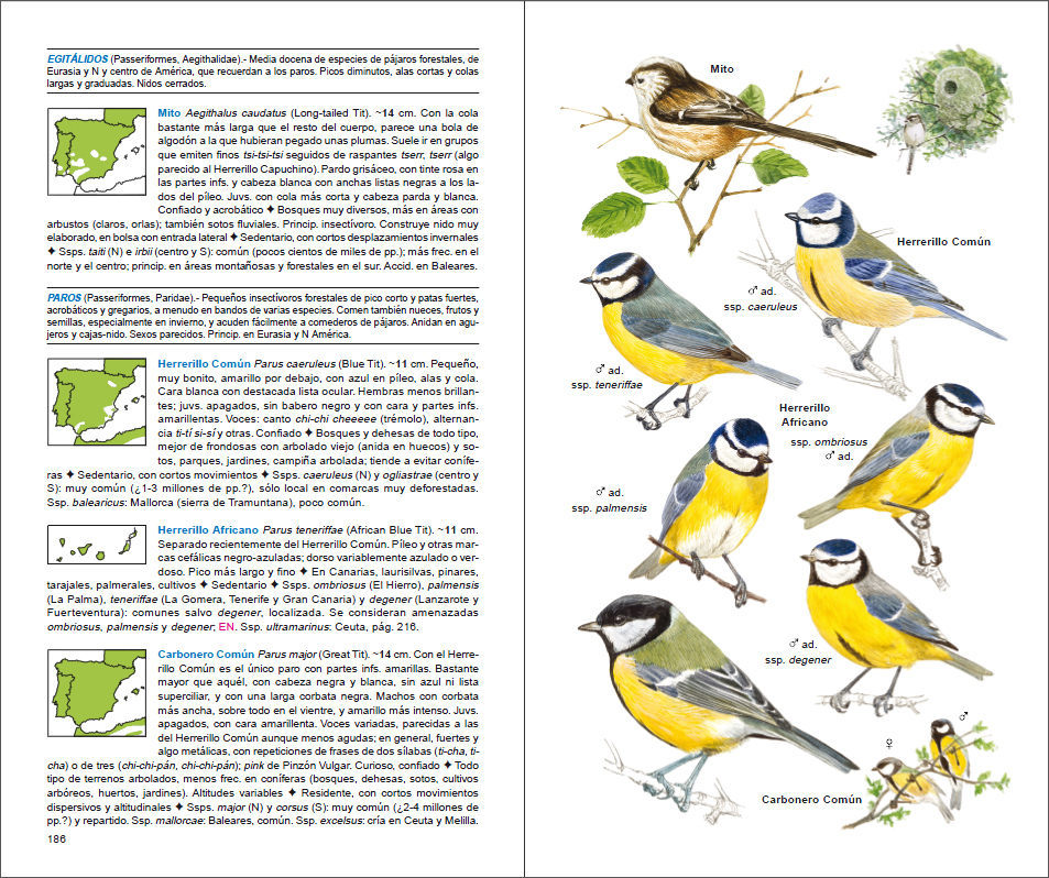 Sample page of Aves de España Aves de España sample page